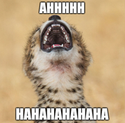 1541789e5229d8f66af8464a446d0afb90985876f56830d38a965eee8545fbd8