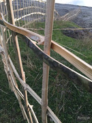 BBG&B16GuwahatiToTezpur - 10