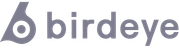 birdeye-platform-logo-external-partner-monochrome-grey-svg-small