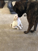 EBF88053-FC18-4772-9D8E-A0653F836384