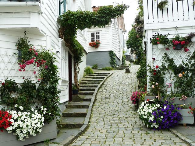 Sábado 22 - Stavanger y Preikestolen (9:00 a 17:00) - CRUCERO FIORDOS 2015 - Flam, Stavanger, Kristiansand, Oslo, Gotemburgo (36)