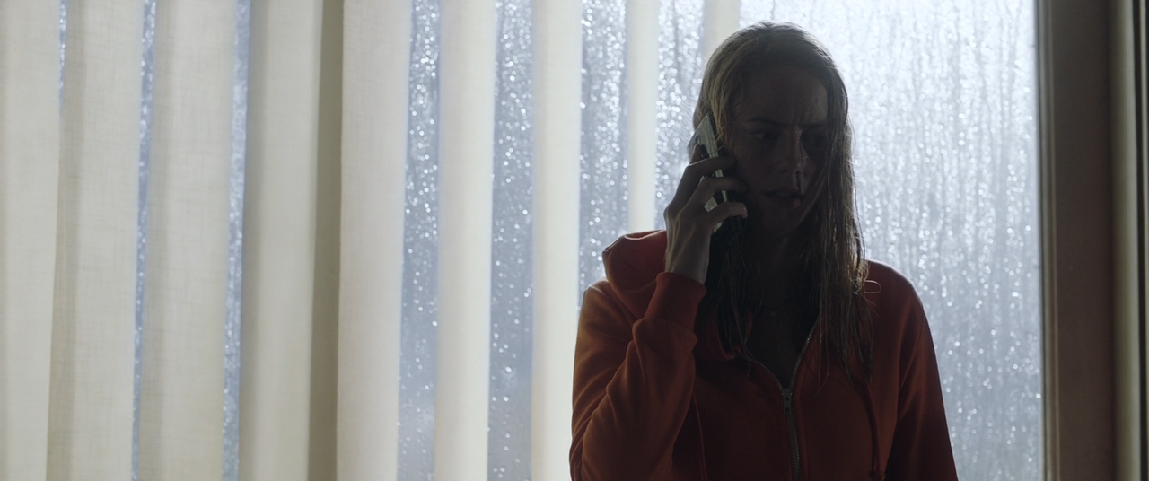 Crawl - Intrappolati (2019) [BluRay Rip 1080p ITA-ENG -AC3 SUBS]