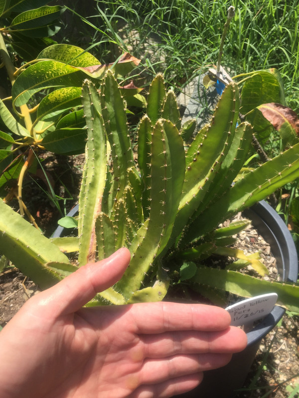 6E7D488F-5B84-4B2C-9E49-4EE299319A5C