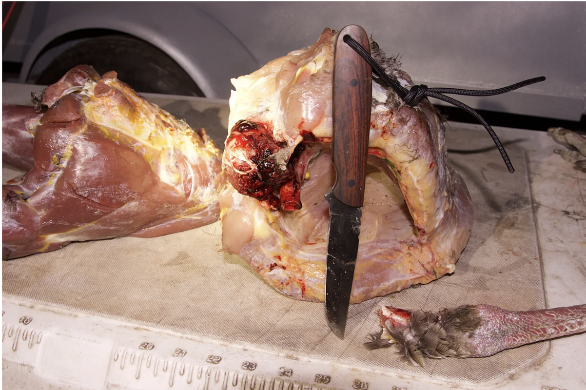 Screen Shot 2025-06-11 at 1.48.38 PM