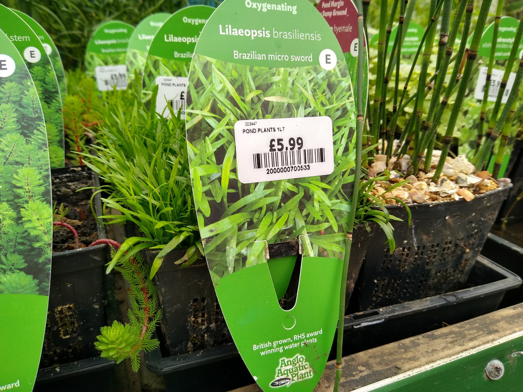 IMG_20220807_110700088_HDR