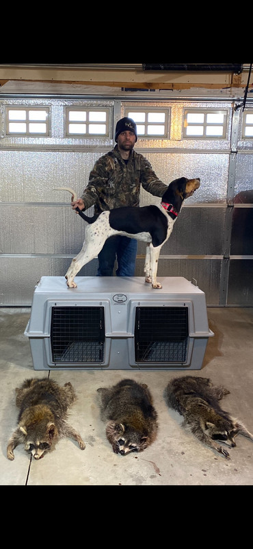 CFAEB339-F5A1-4B6F-8208-E884EC6CC6D1