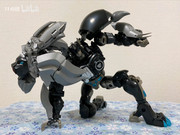 MP-48-Dark-Amber-Leo-Prime-16