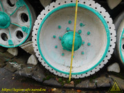 DSCN5029