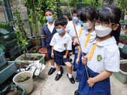 photo-littlefarmer2223-1A-013