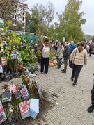 IMG20261017124153