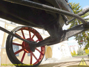 DSCN7209