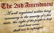 2ndamendment2-vi