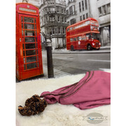 6F536E99-744B-4424-9513-F0CBAC56EC2E