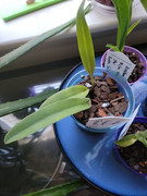 Screenshot_20220127-212917_Gallery