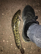 70B5444D-7A7D-4496-BFC7-44BAB8D68F18