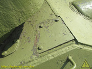 IMG-3196