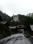 [Image: 3-FE294-B9-7-E42-46-D8-BA26-261-E402-E63-D2.jpg]