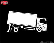 C-313