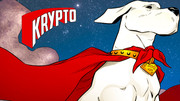 krypto6wp