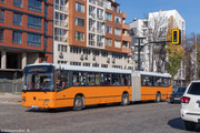 IMG-1368