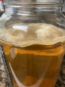 AED2E1CF-B9E1-4A25-99D6-45790EE337EC