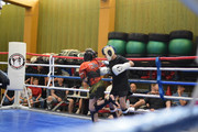 DSC-0036