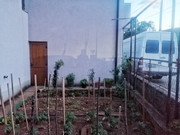 IMG_20200526_203407-01