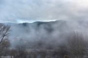 IMG-1518