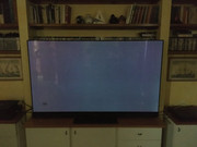 B82CB58E-FBB5-4A6F-BBE5-29DC667C1F2C