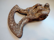 DSC03556.jpg