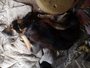 WhatsApp Image 2021-02-17 at 12.22.21