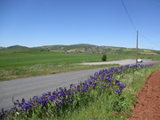 IMG-7096.jpg
