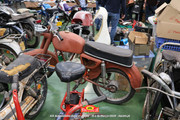 IMG-1273