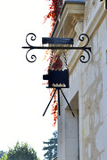 DSC-0022.jpg