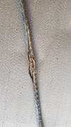 20230902-172555.jpg