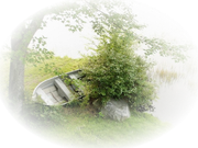 c97e0e3c884e963557d3c216398a7f32o