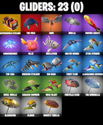gliders-comp