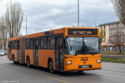 IMG-2782