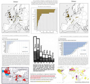 AddText_01-16-03.08.34