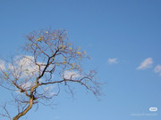 photo 10 2025 12 24 16 22 41