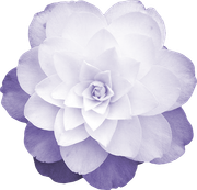 MVDLavender-Love-089