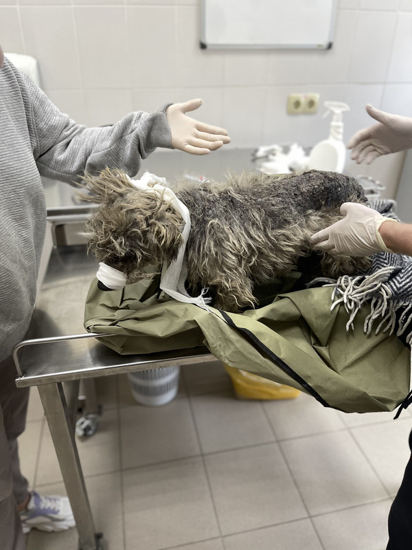 EB262D1D-7E79-4E49-813F-684A8D39CAF6