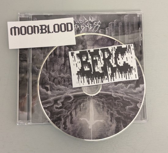 00 suicidal madness nous sommes deja morts fr 2025 berc