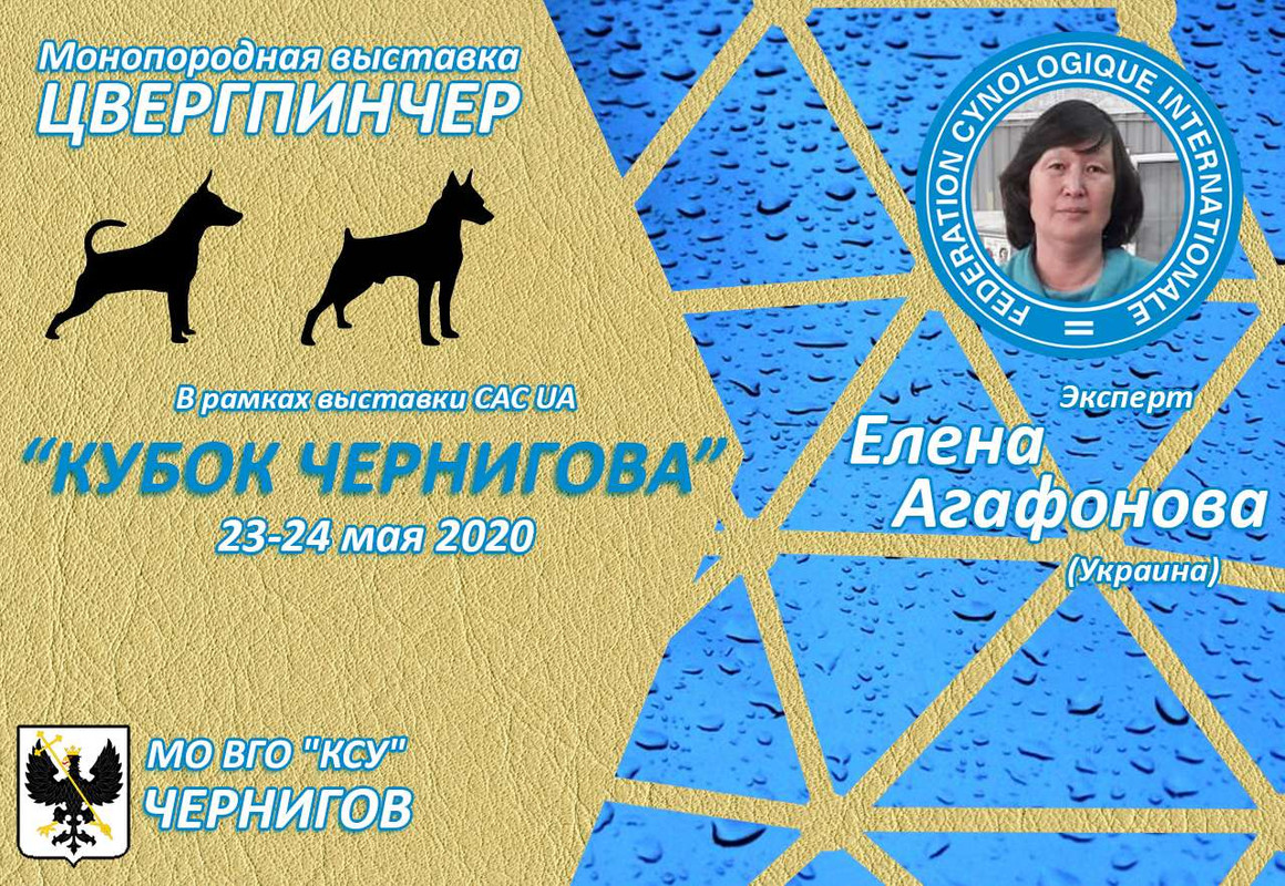 зображення_viber_2019-12-25_17-29-00