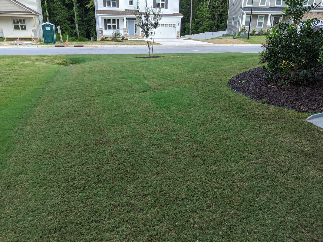 MVIMG_20200729_162326