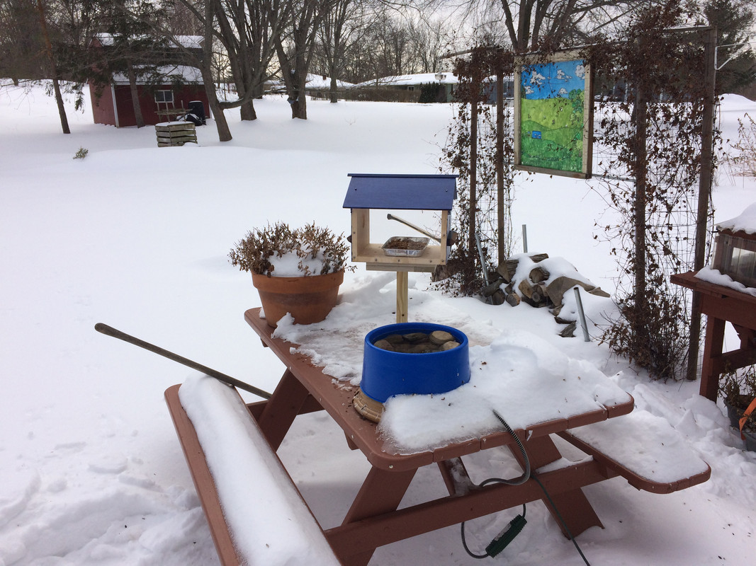 ADF7A54B-3C44-4F0D-B89C-A9856EC92C11