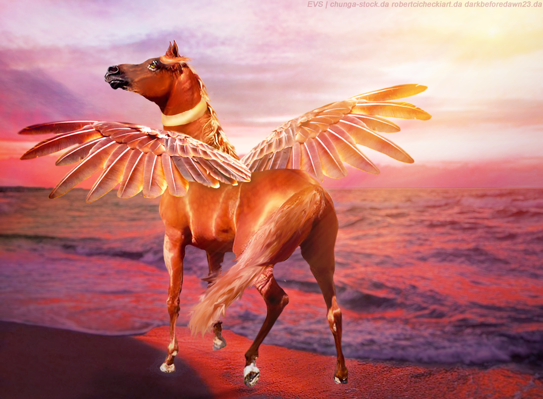 EVS-Sunset-Chaser-FULL-IMAGE-CREDITED-AND-EDITED2.png