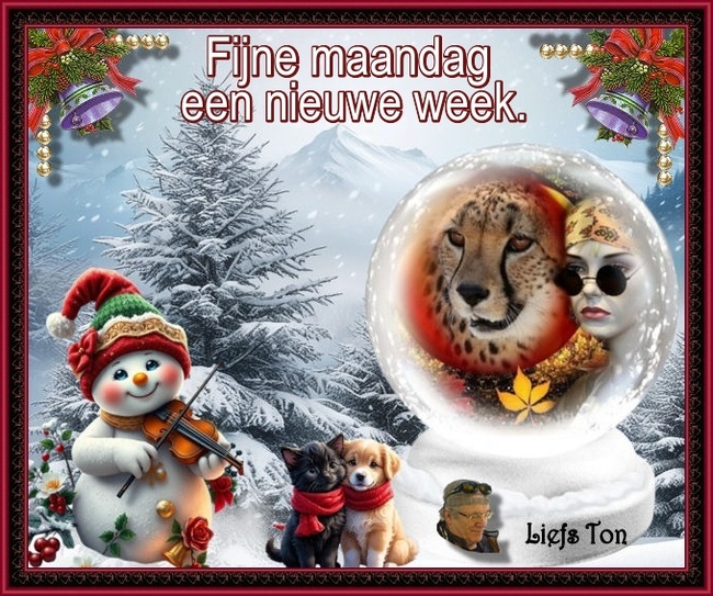 www.krabbelplaatjes.com