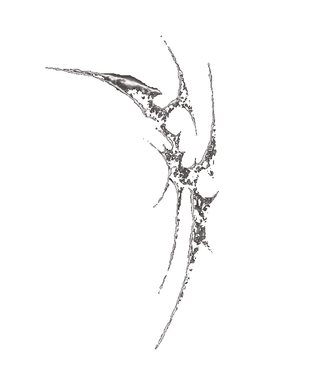 IMG-0238-ezgif-com-gif-maker.gif