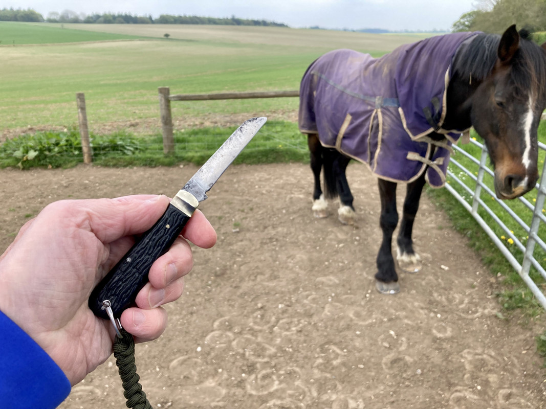 ACE407B5-8AB7-42DA-8BF1-1A956EDB9317